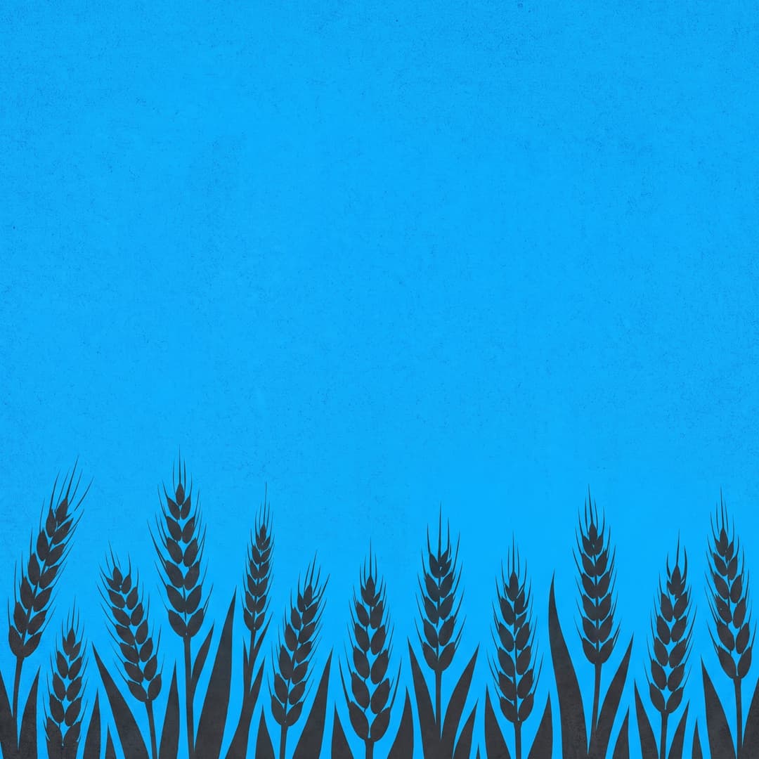 Background size, 1:1