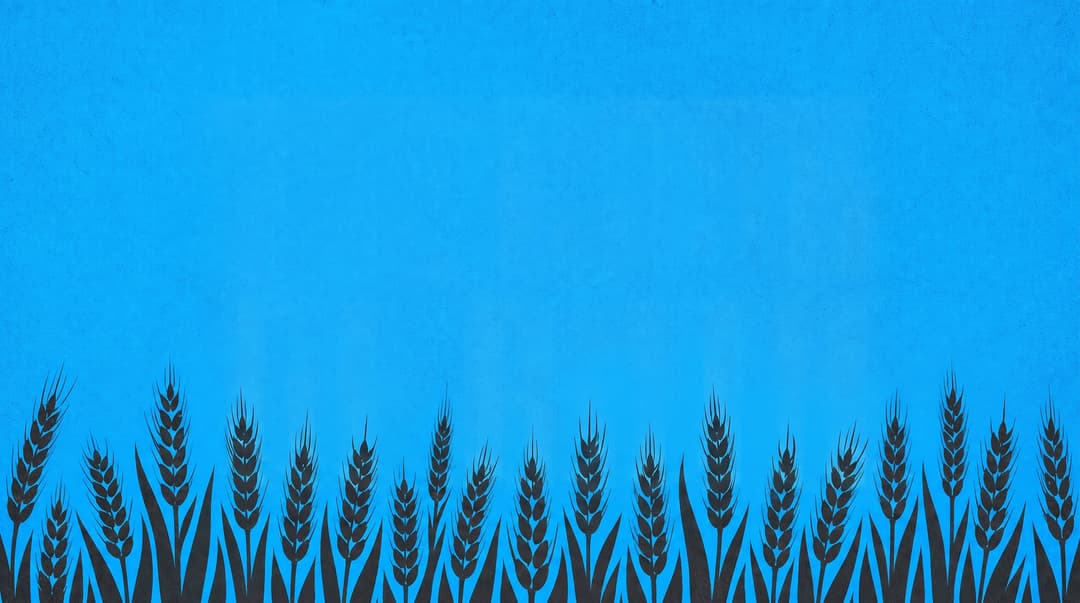 Background size, 16:9