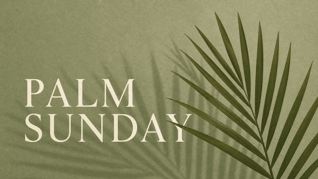 Palm Sunday church graphic