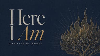 Here I Am: The Life Of Moses church graphic