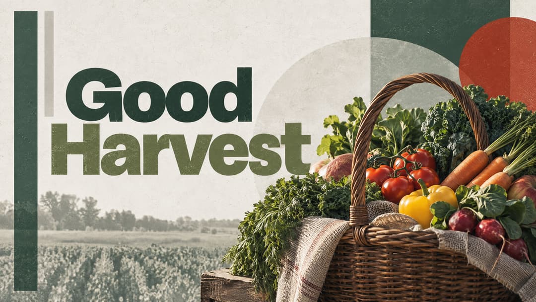 Good Harvest church graphic